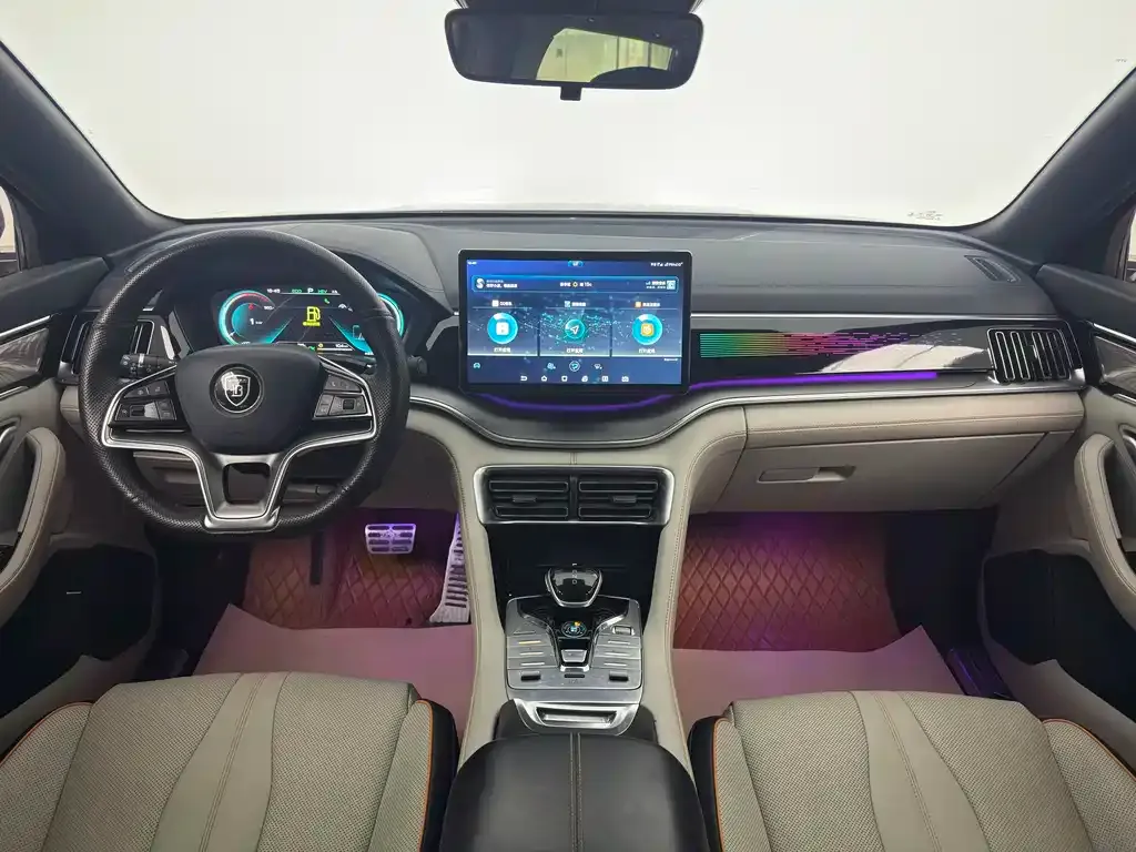 BYD PLUS New Energy — фото 9