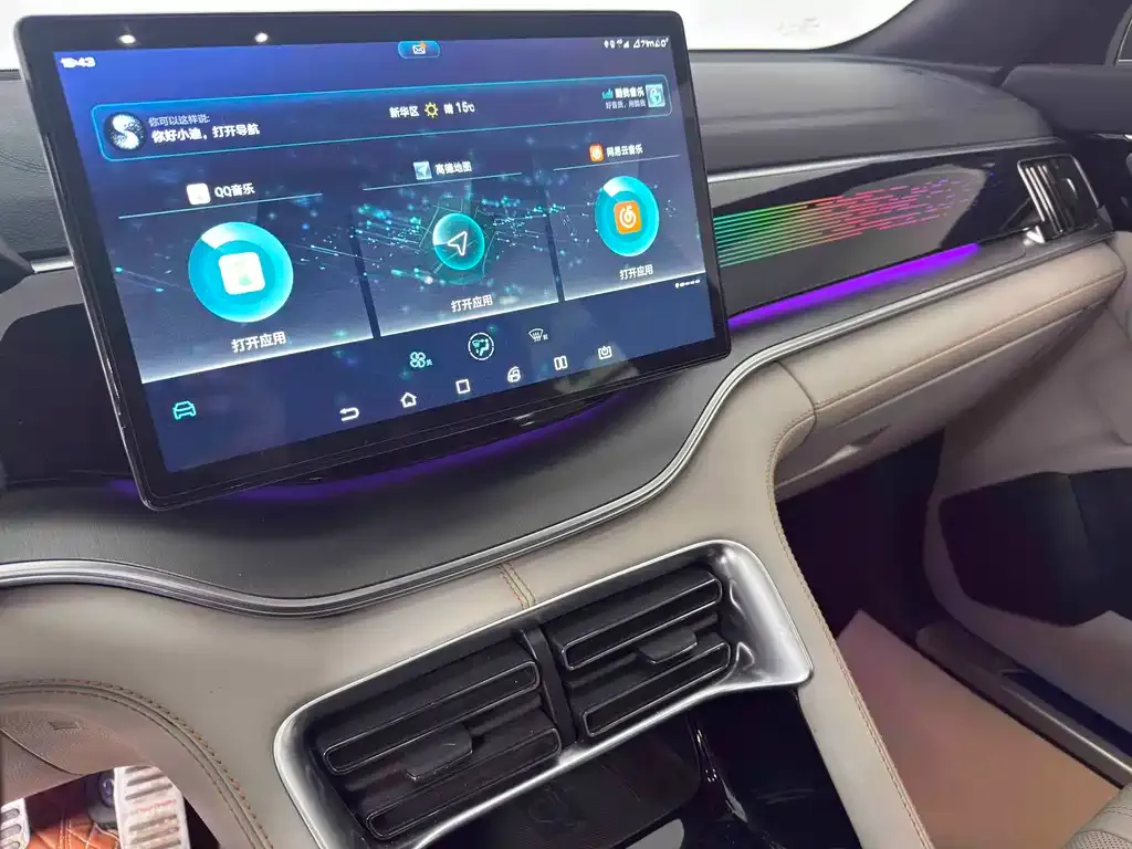 BYD PLUS New Energy — фото 10