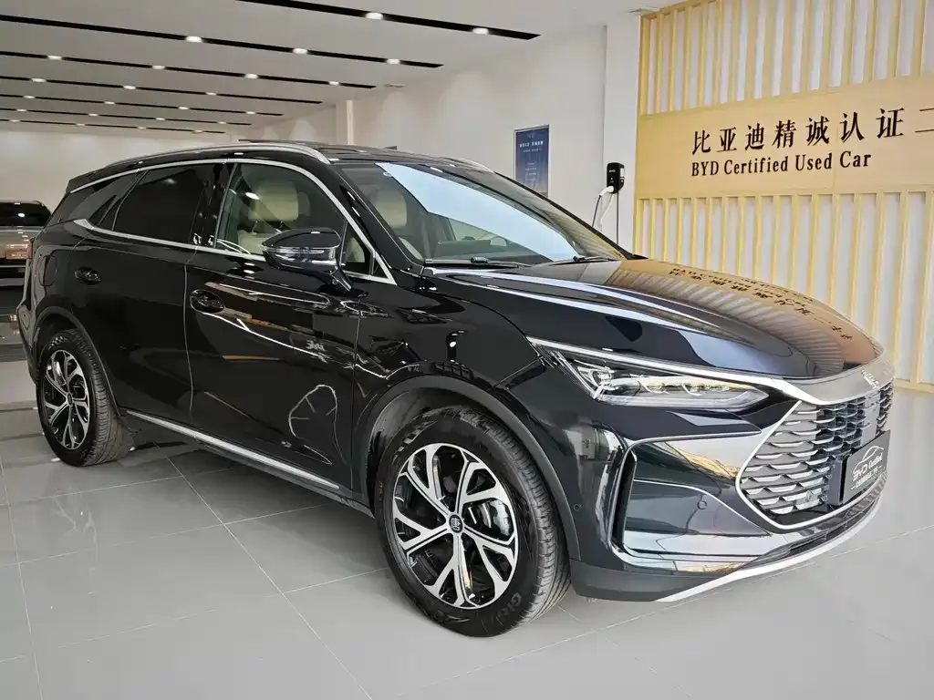 BYD Tang New Energy — фото 7