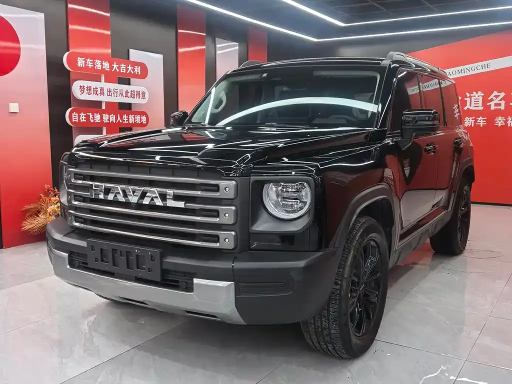 Haval Menglong New Energy 2024 из CN, фото 1