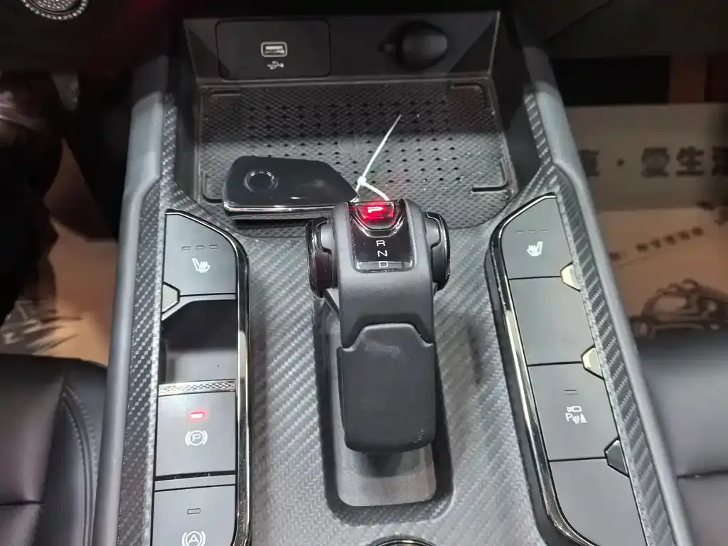Haval Menglong New Energy 2024 из CN, фото 4