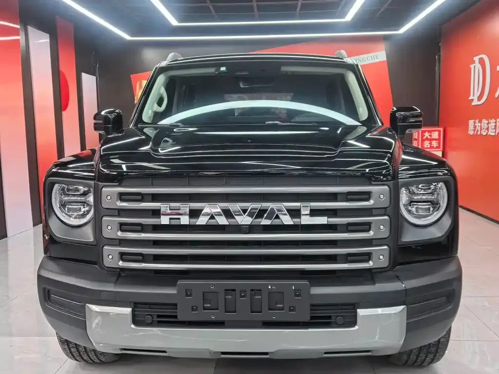Haval Menglong New Energy 2024 из CN, фото 3