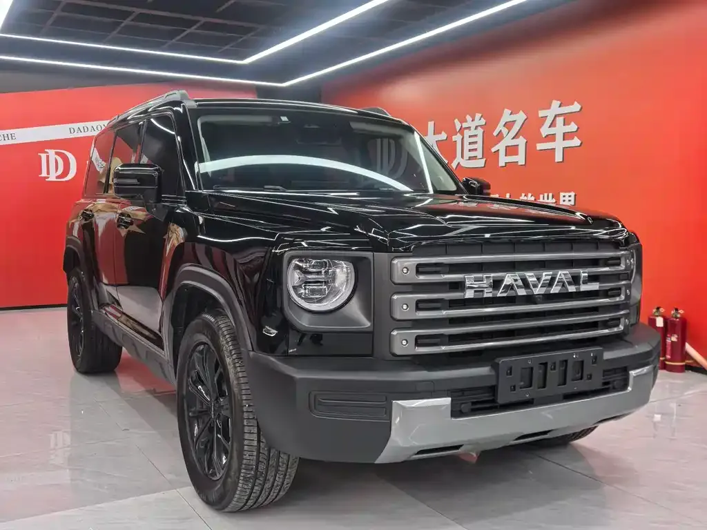 Haval Menglong New Energy 2024 из CN, фото 6
