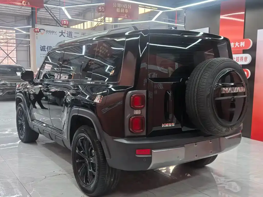Haval Menglong New Energy 2024 из CN, фото 9