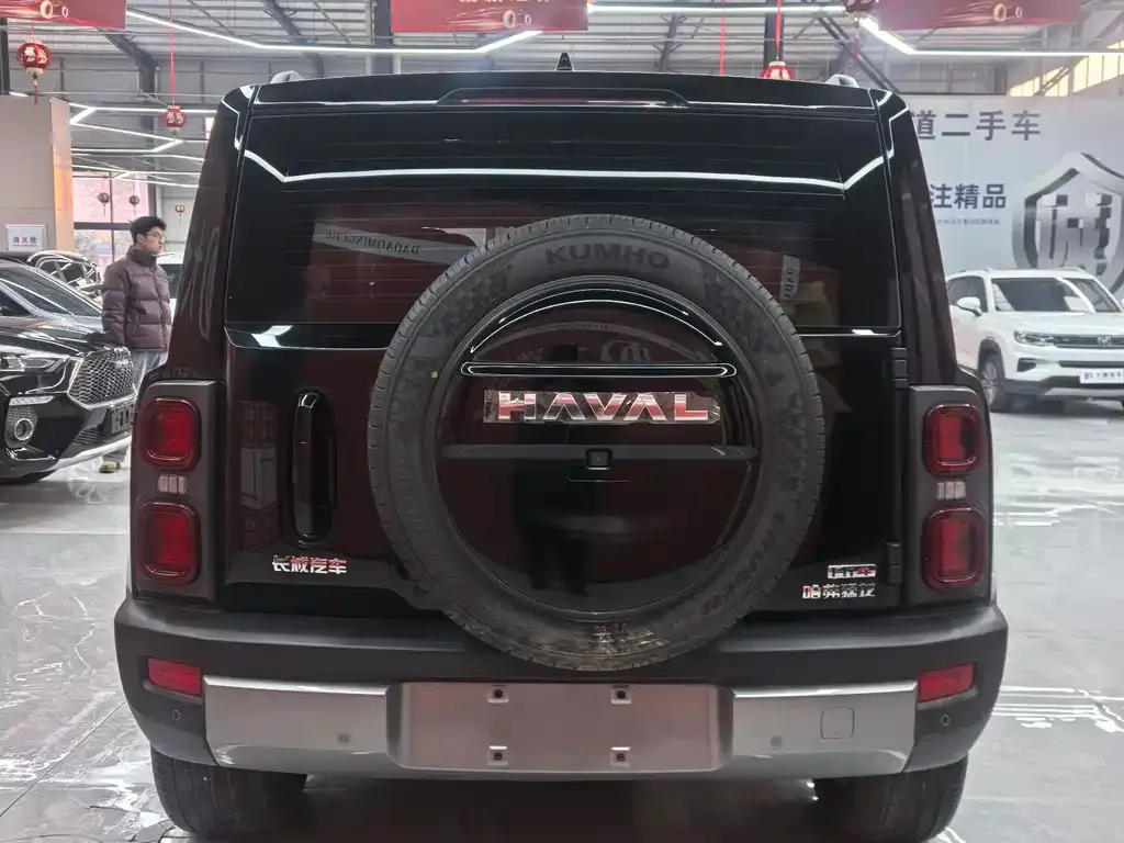 Haval Menglong New Energy 2024 из CN, фото 2