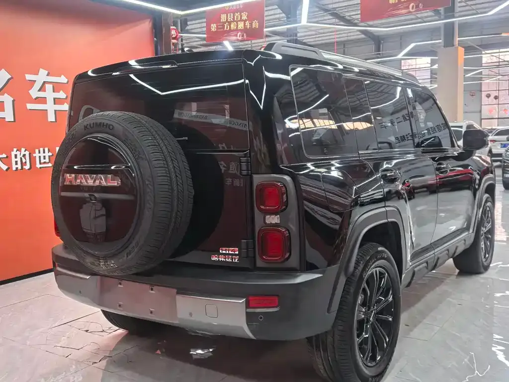 Haval Menglong New Energy 2024 из CN, фото 10