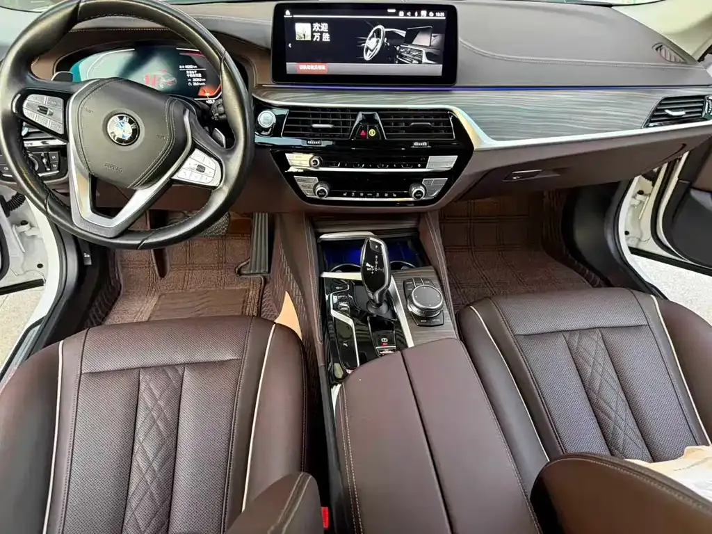 BMW 5 Series 2023 из CN, фото 5
