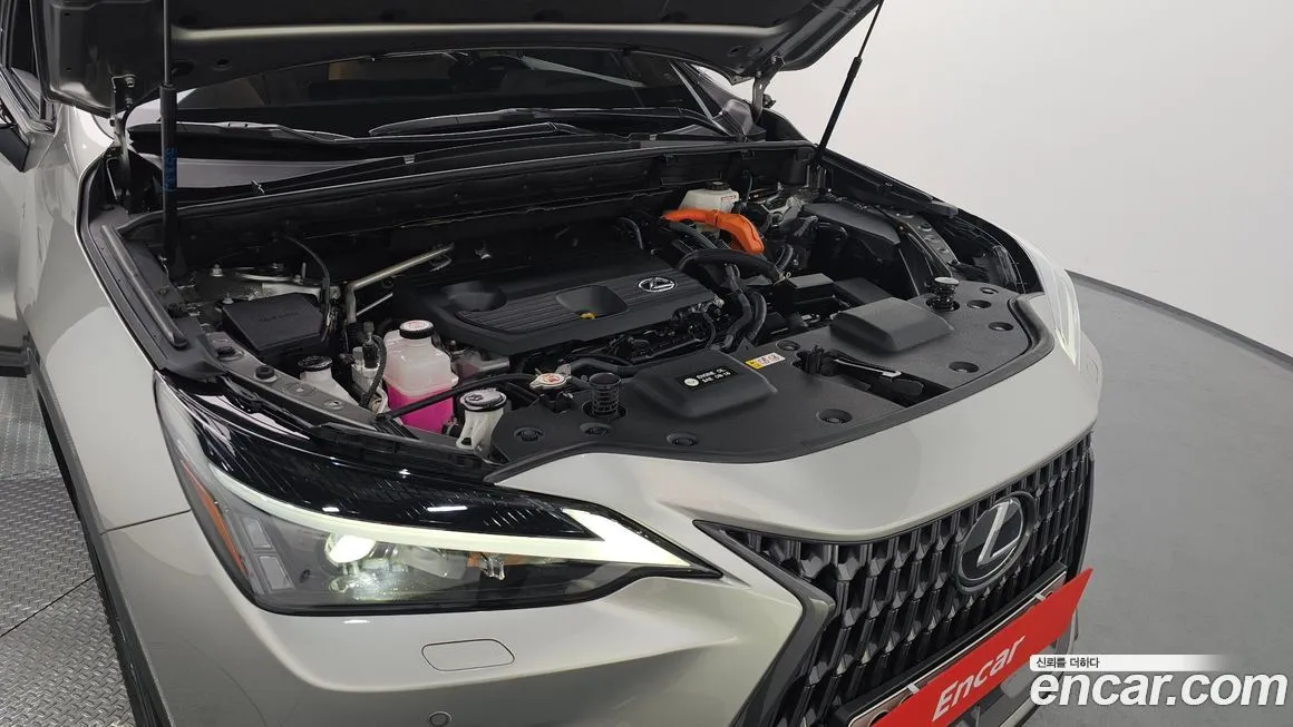 Lexus NX 2023 из KR, фото 8
