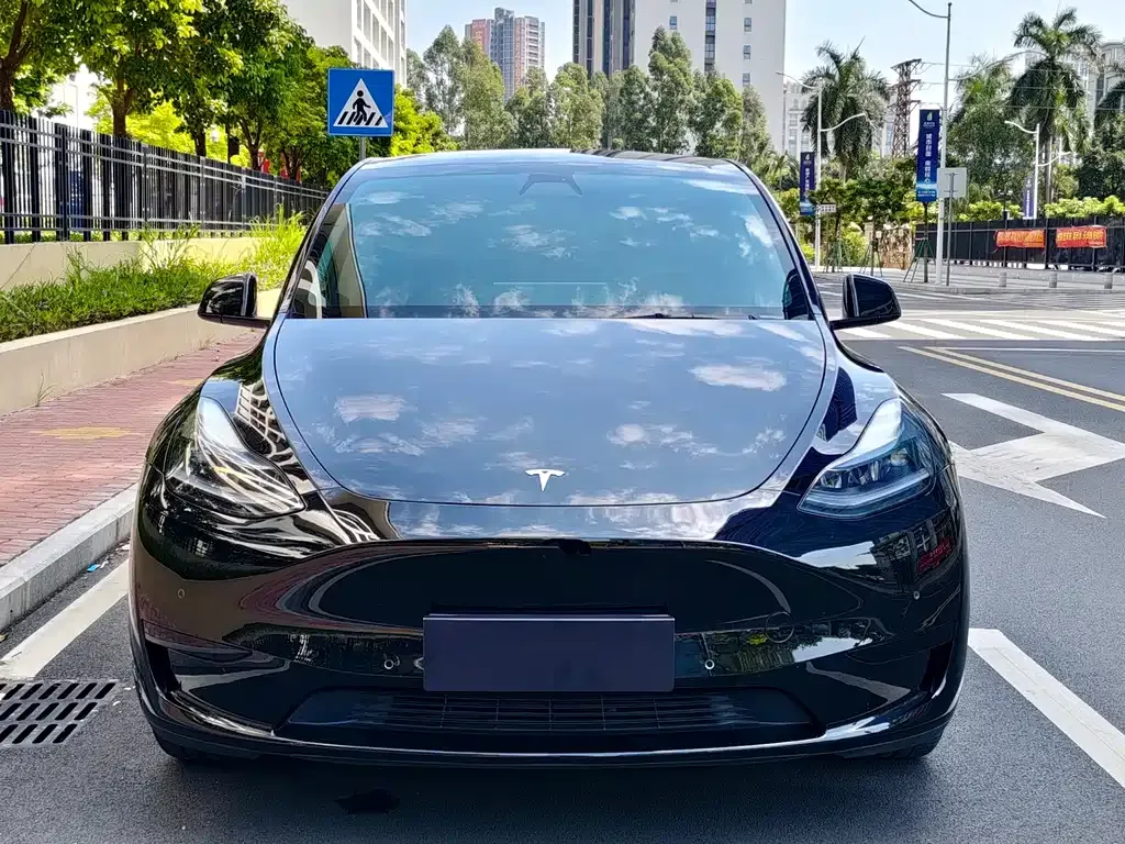 Tesla Model Y — фото 10