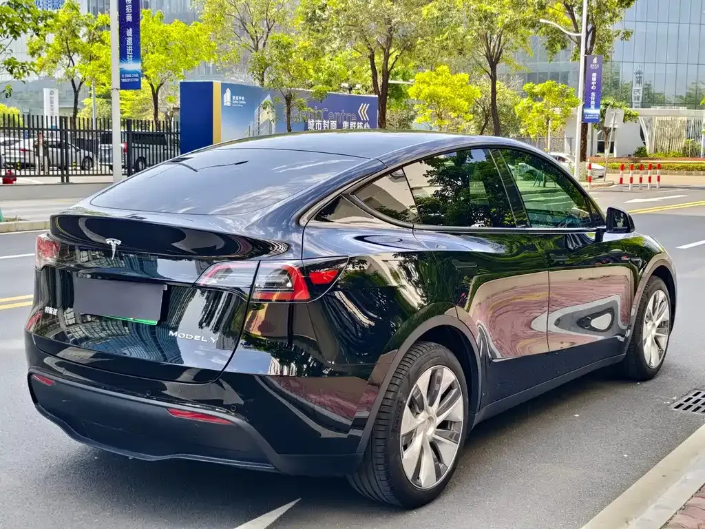 Tesla Model Y — фото 8