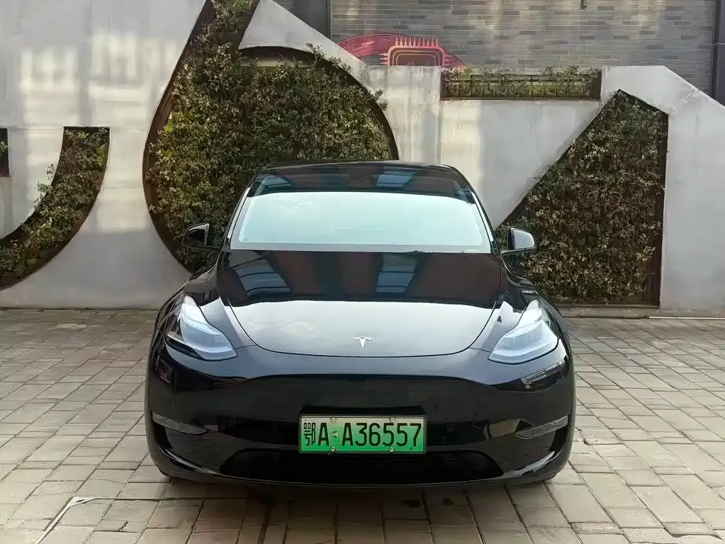 Tesla Model Y — фото 8