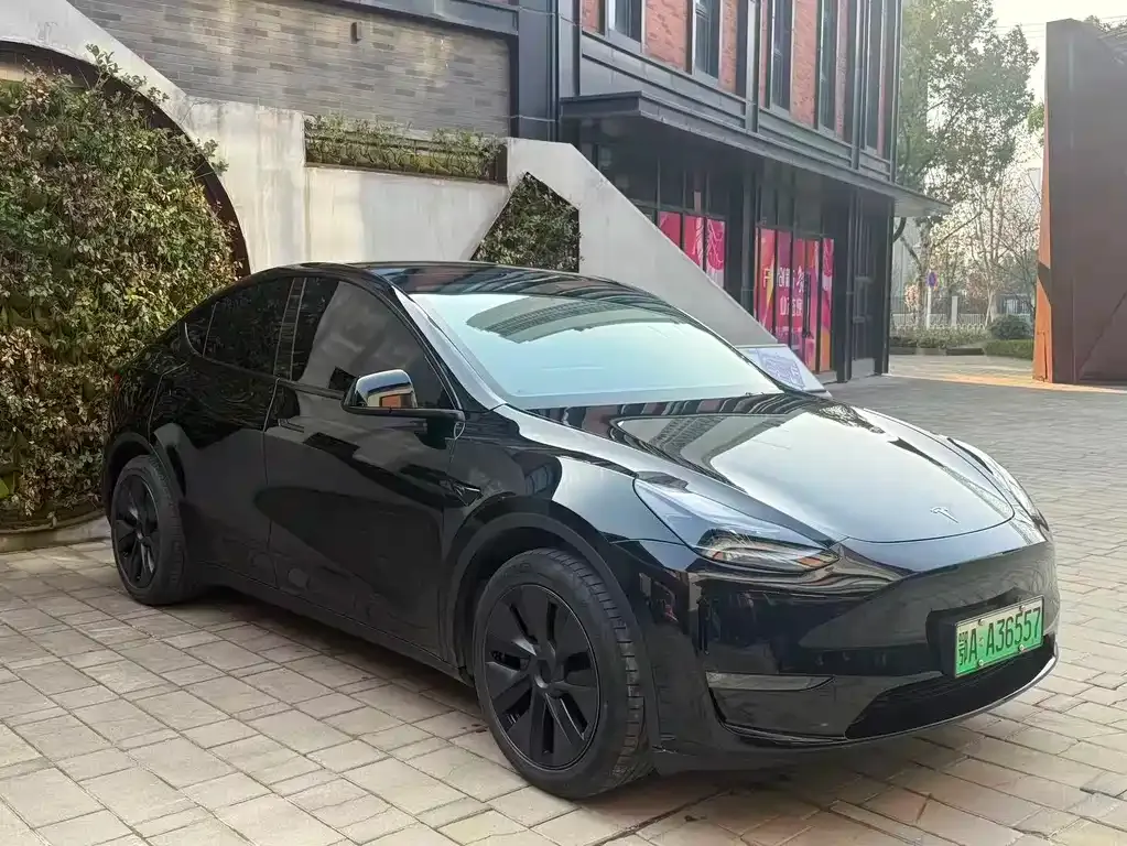 Tesla Model Y — фото 10