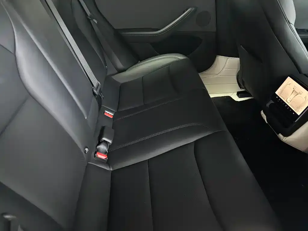 Tesla Model 3 2024 из CN, фото 6