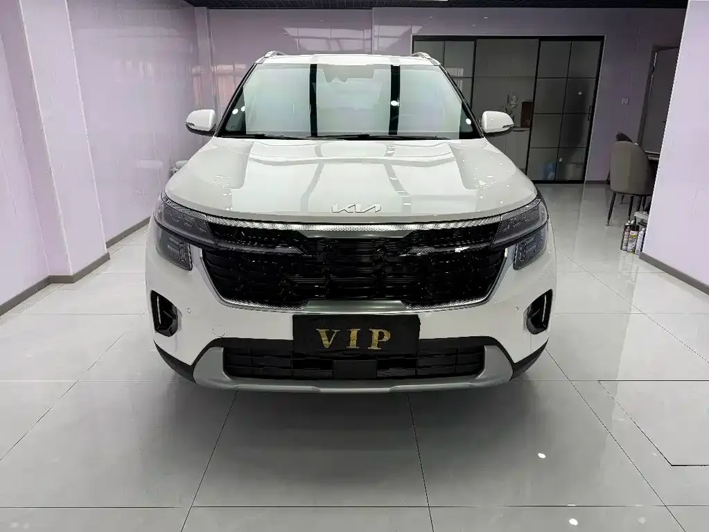 Kia Seltos 2023 из CN, фото 3