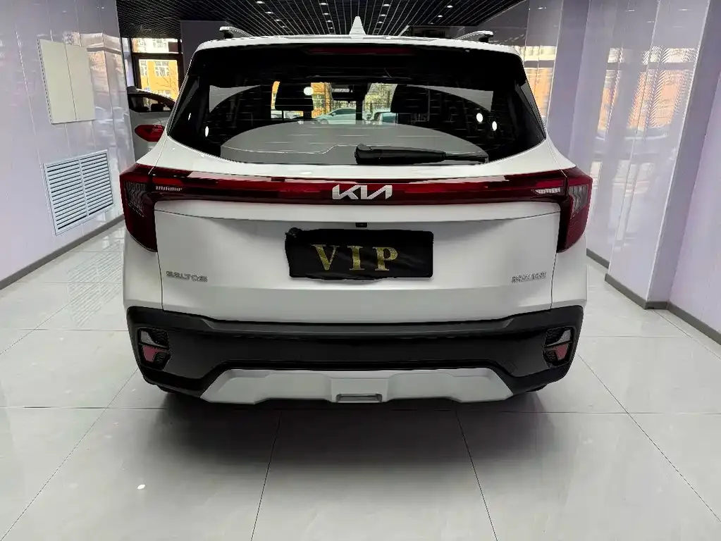 Kia Seltos 2023 из CN, фото 9