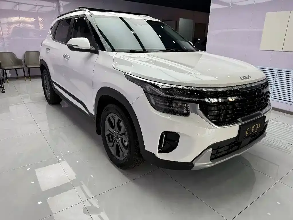 Kia Seltos 2023 из CN, фото 2