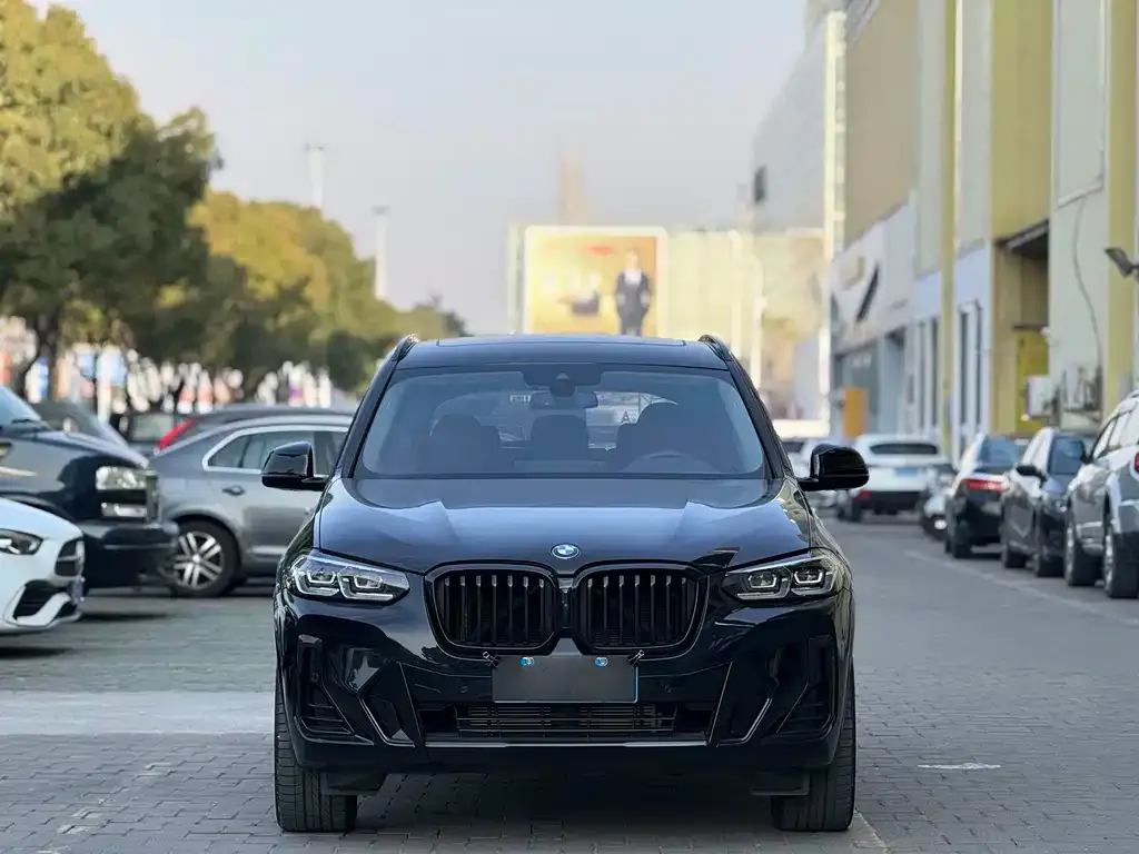 BMW X3 2024 из CN, фото 10