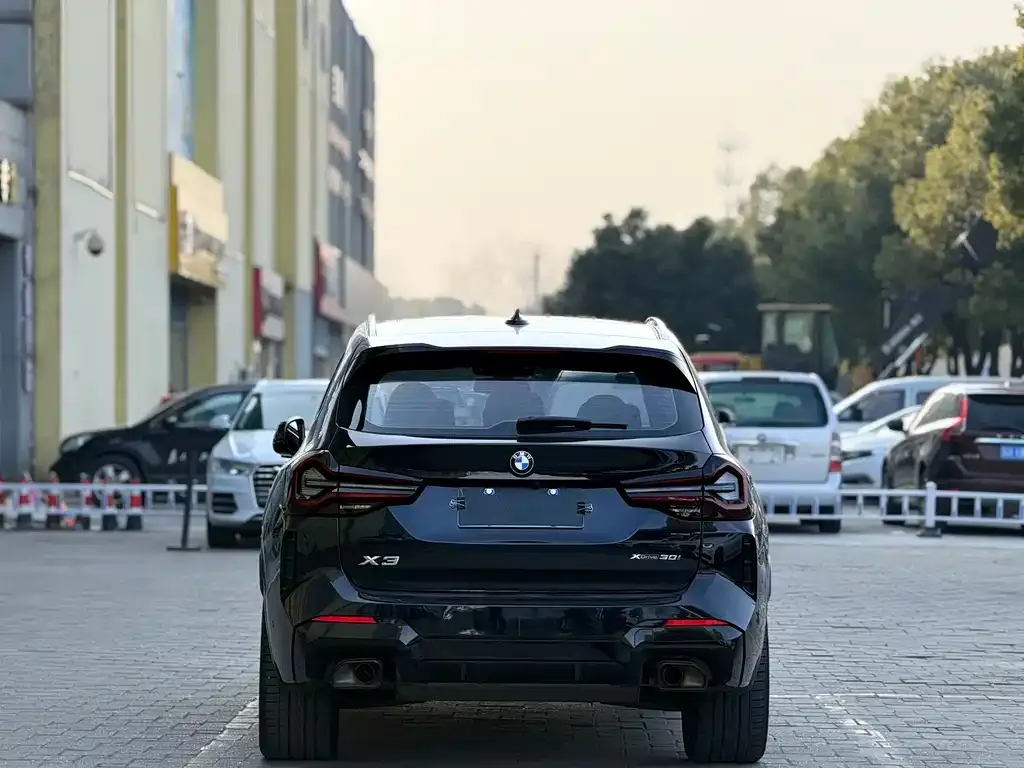 BMW X3 2024 из CN, фото 7