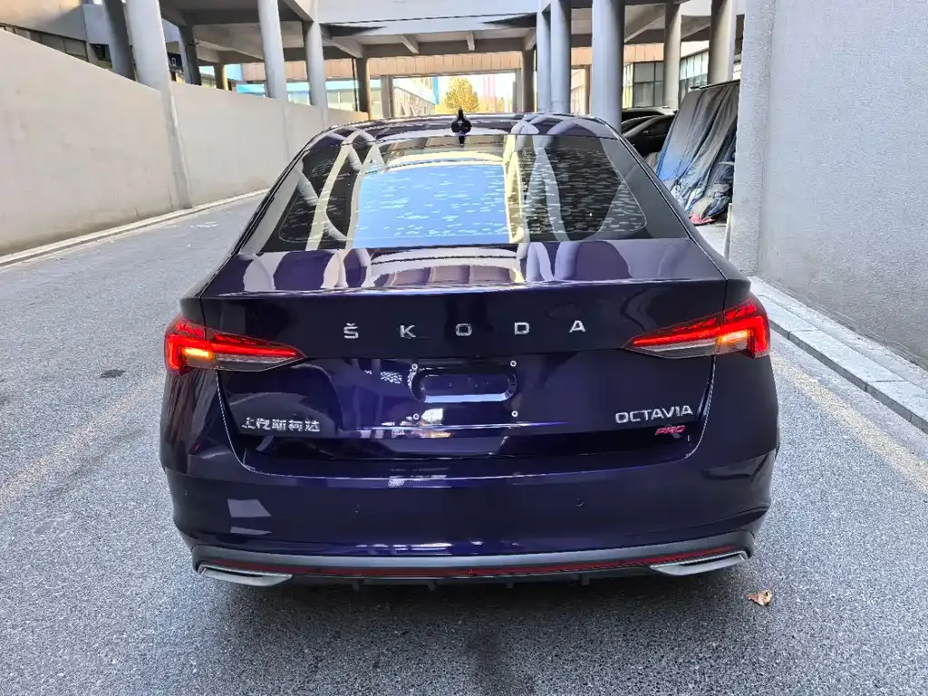 Skoda Octavia 2021 из CN, фото 7