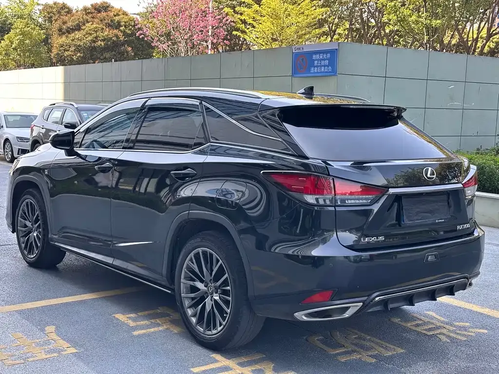 Lexus RX — фото 9