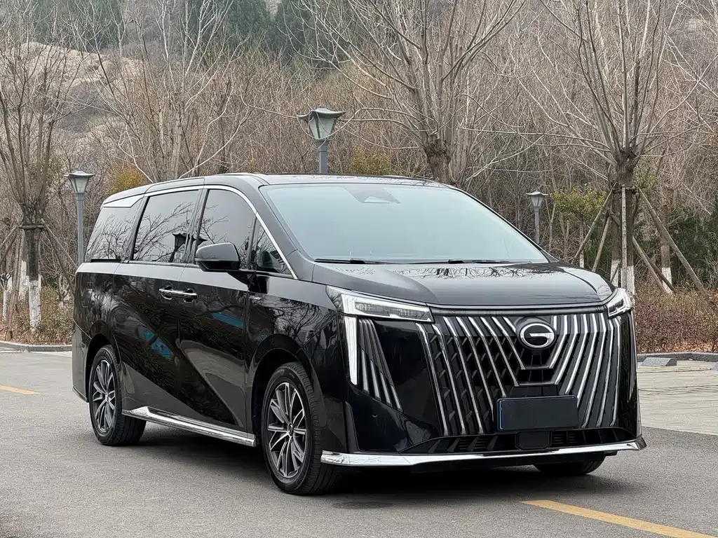 GAC Motor Trumpchi M8 2024 из CN, фото 3