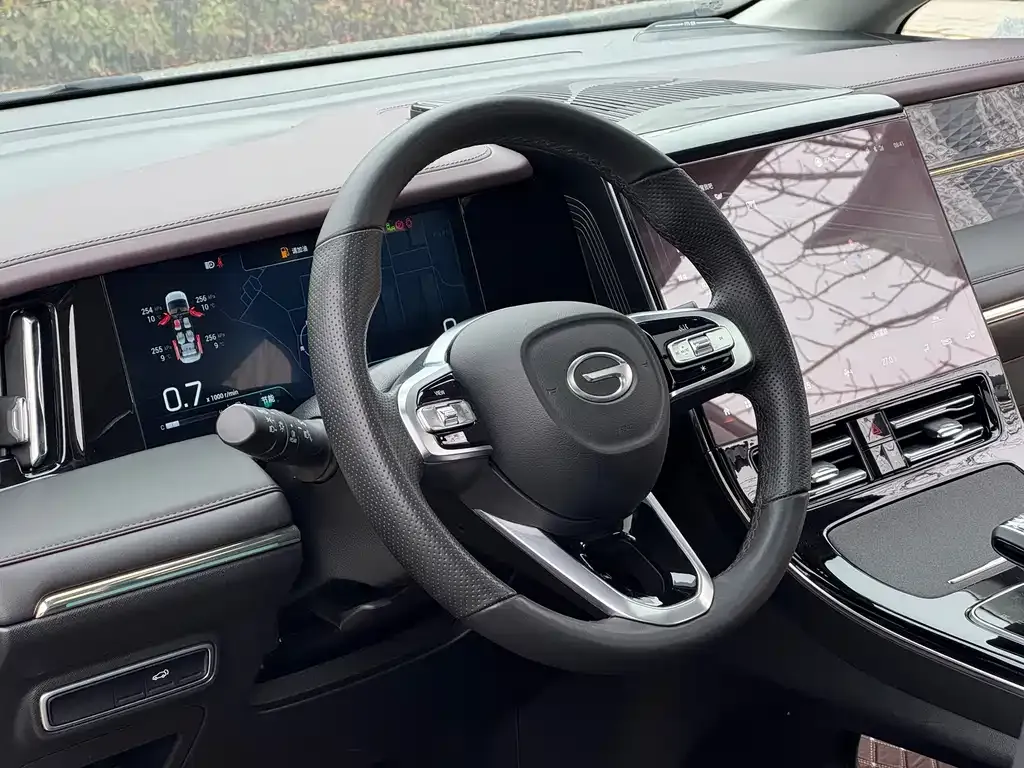GAC Motor Trumpchi M8 2024 из CN, фото 10