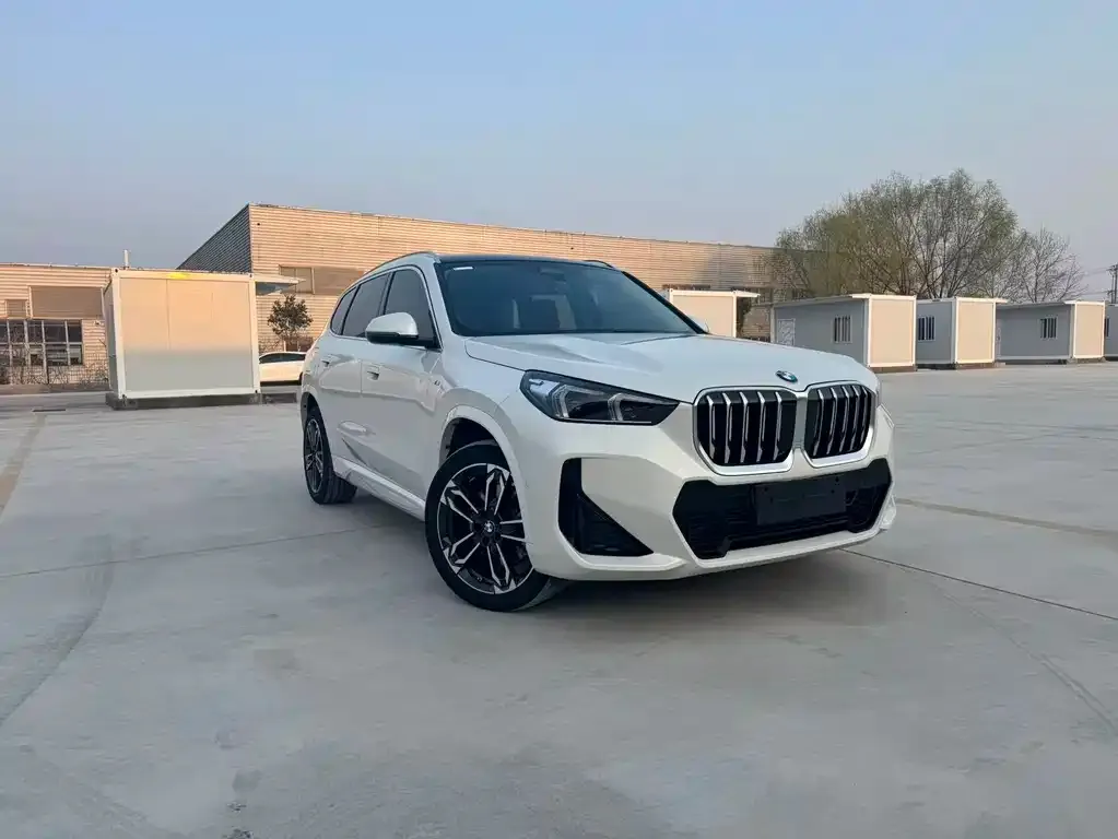 BMW X1 2024 из CN, фото 9