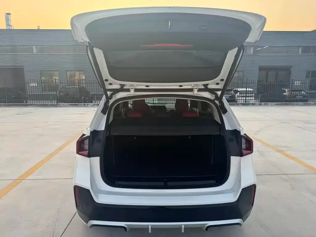 BMW X1 2024 из CN, фото 5