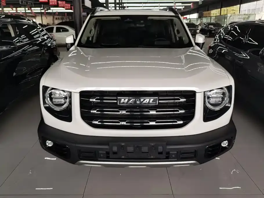 Haval Big Dog — фото 7