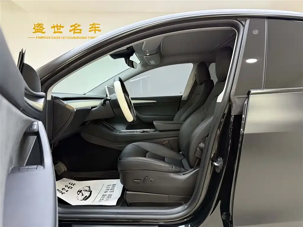 Tesla Model Y 2023 из CN, фото 8