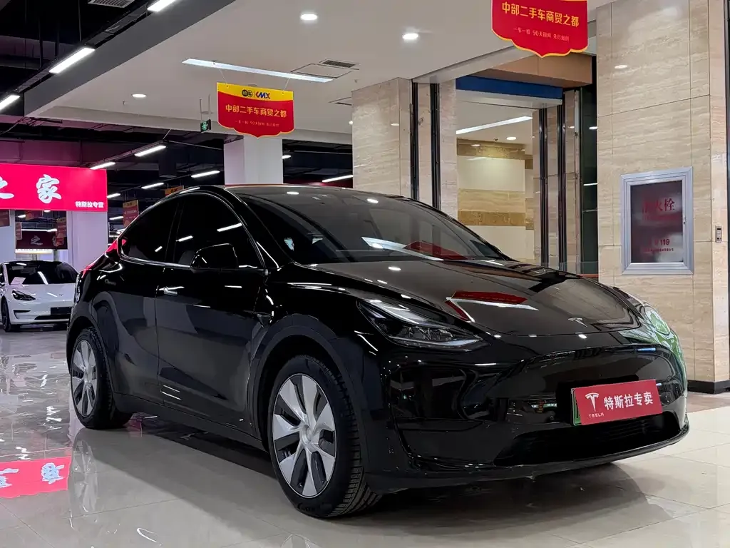 Tesla Model Y 2023 из CN, фото 4