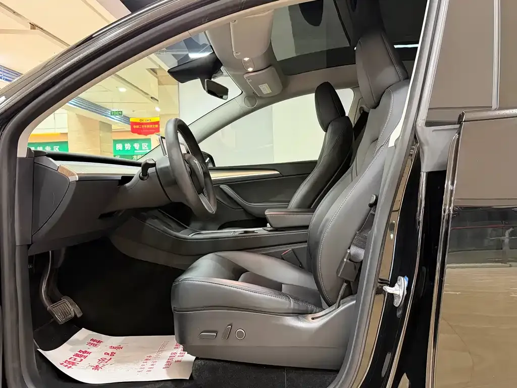 Tesla Model Y 2023 из CN, фото 9