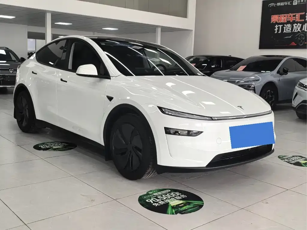 Tesla Model Y — фото 3