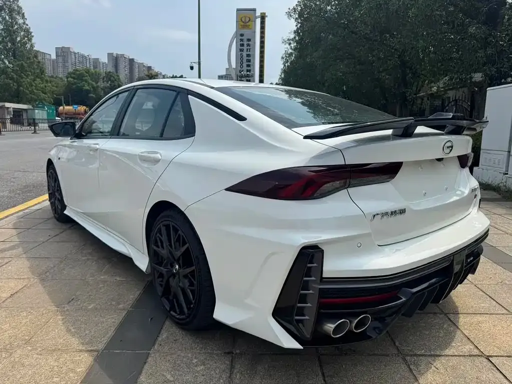 GAC Motor Shadow Leopard — фото 7