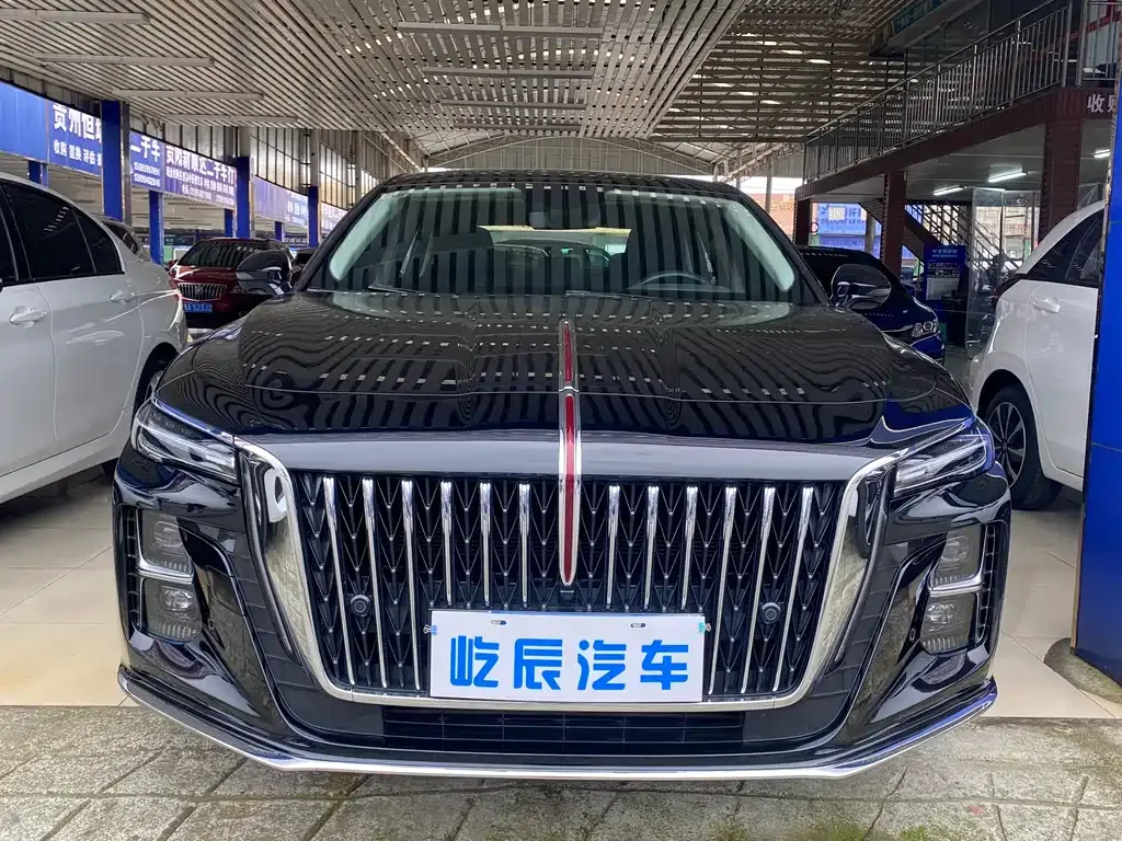 Hongqi H5 — фото 10