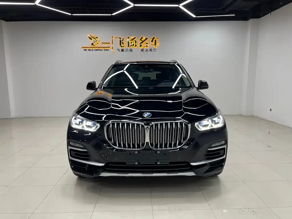 BMW X5 (Import) 2021 из CN, фото 6