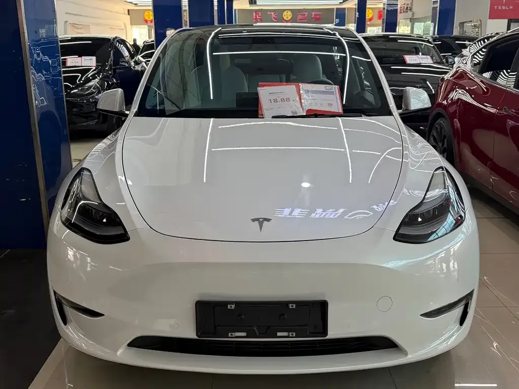 Tesla Model Y — фото 1