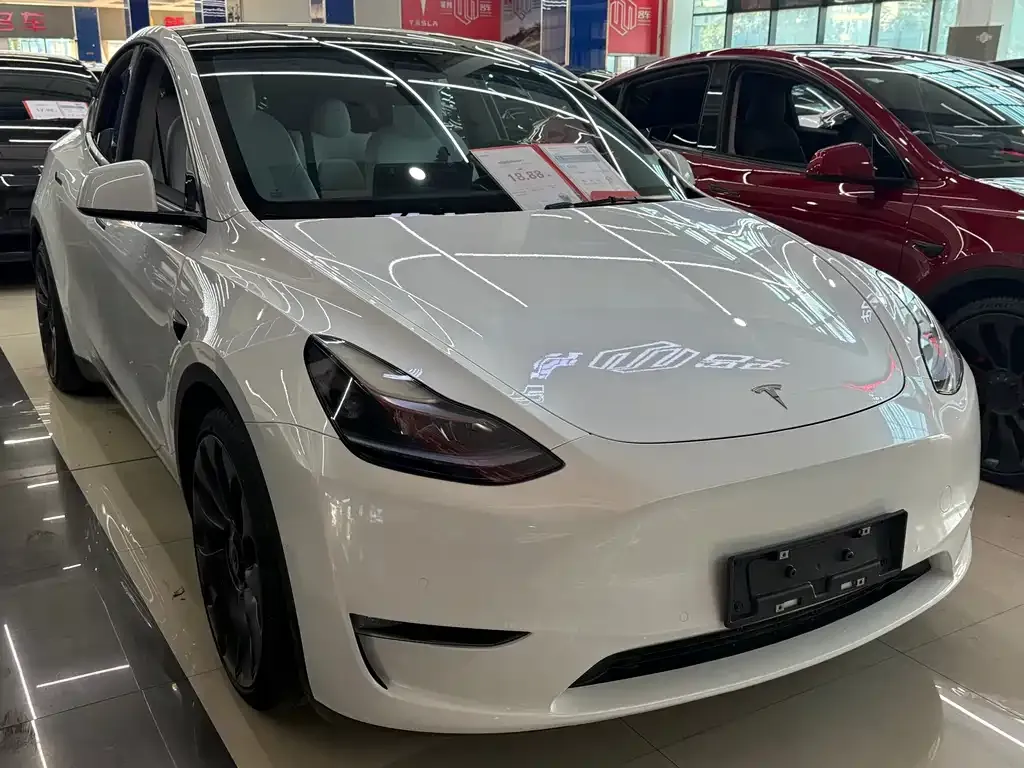 Tesla Model Y — фото 3