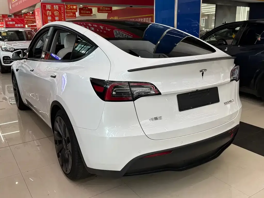 Tesla Model Y — фото 10