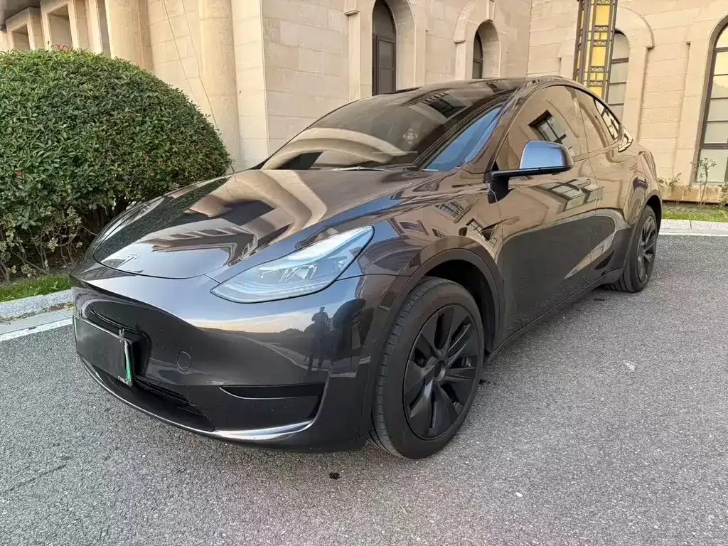 Tesla Model Y — фото 1
