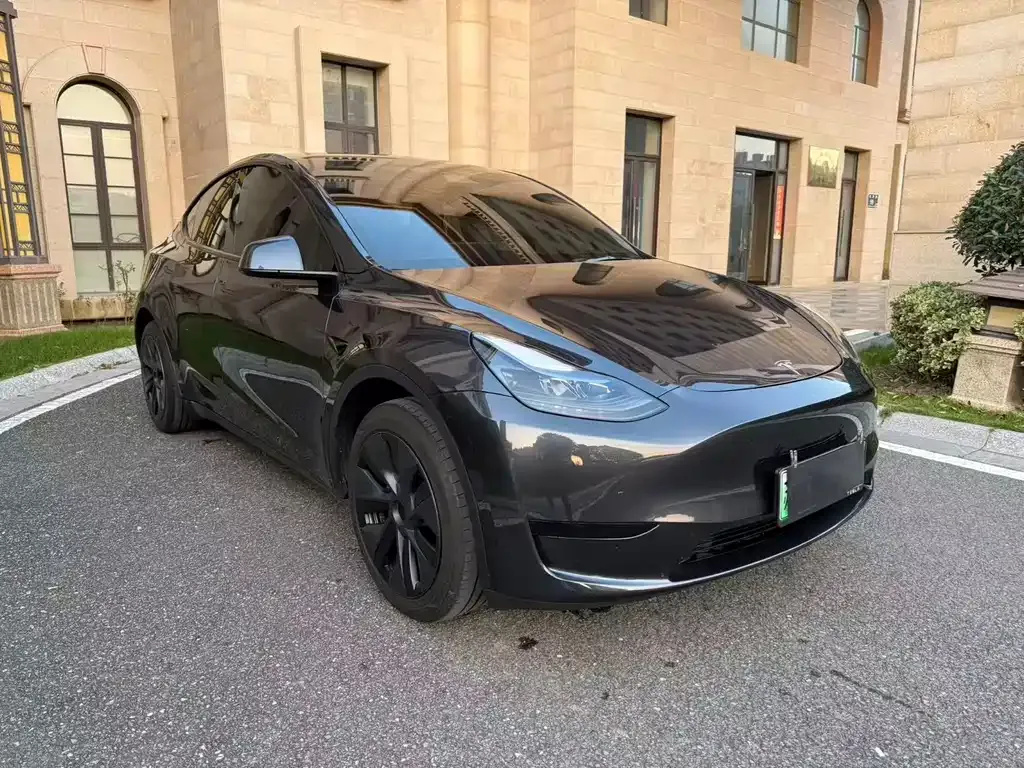 Tesla Model Y — фото 9