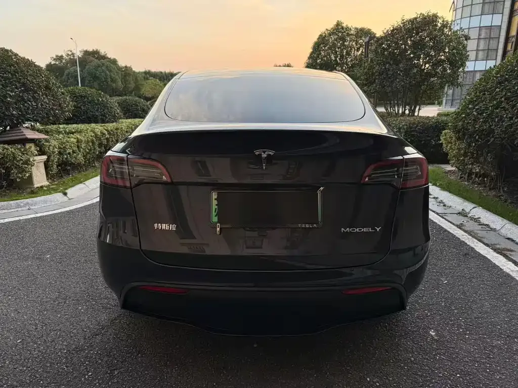 Tesla Model Y — фото 3