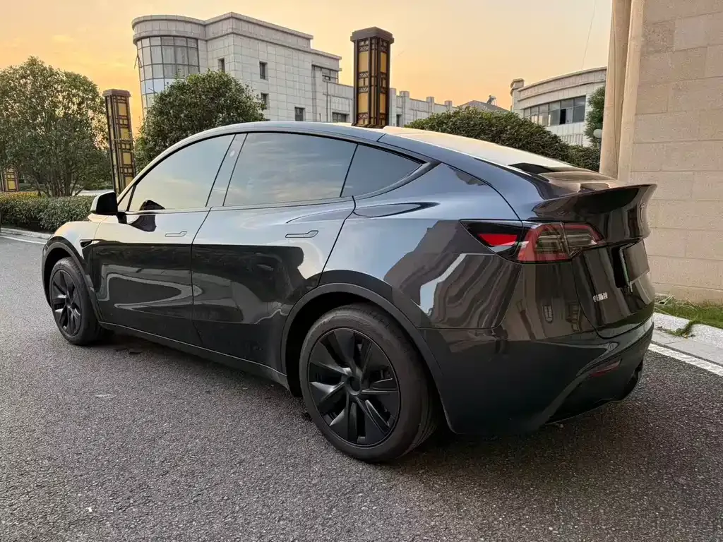 Tesla Model Y — фото 2
