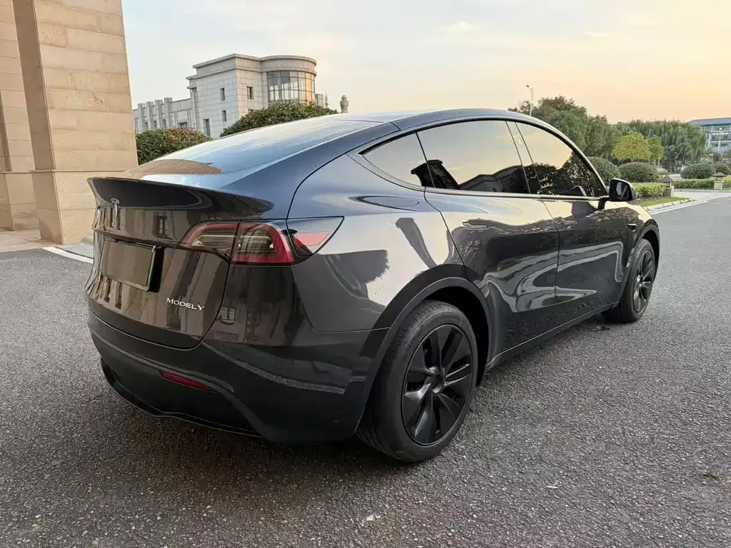 Tesla Model Y — фото 8