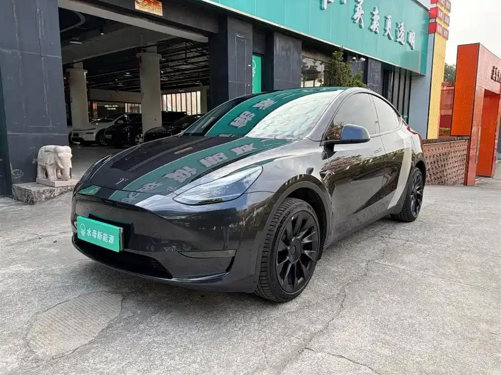 Tesla Model Y — фото 1