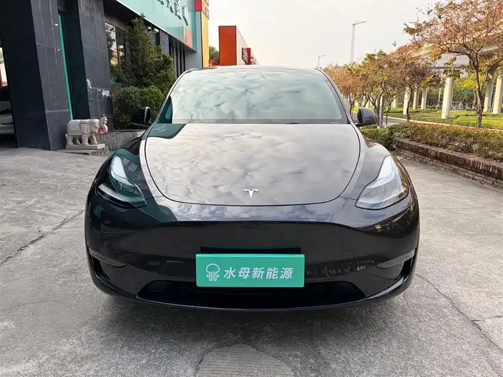 Tesla Model Y — фото 2