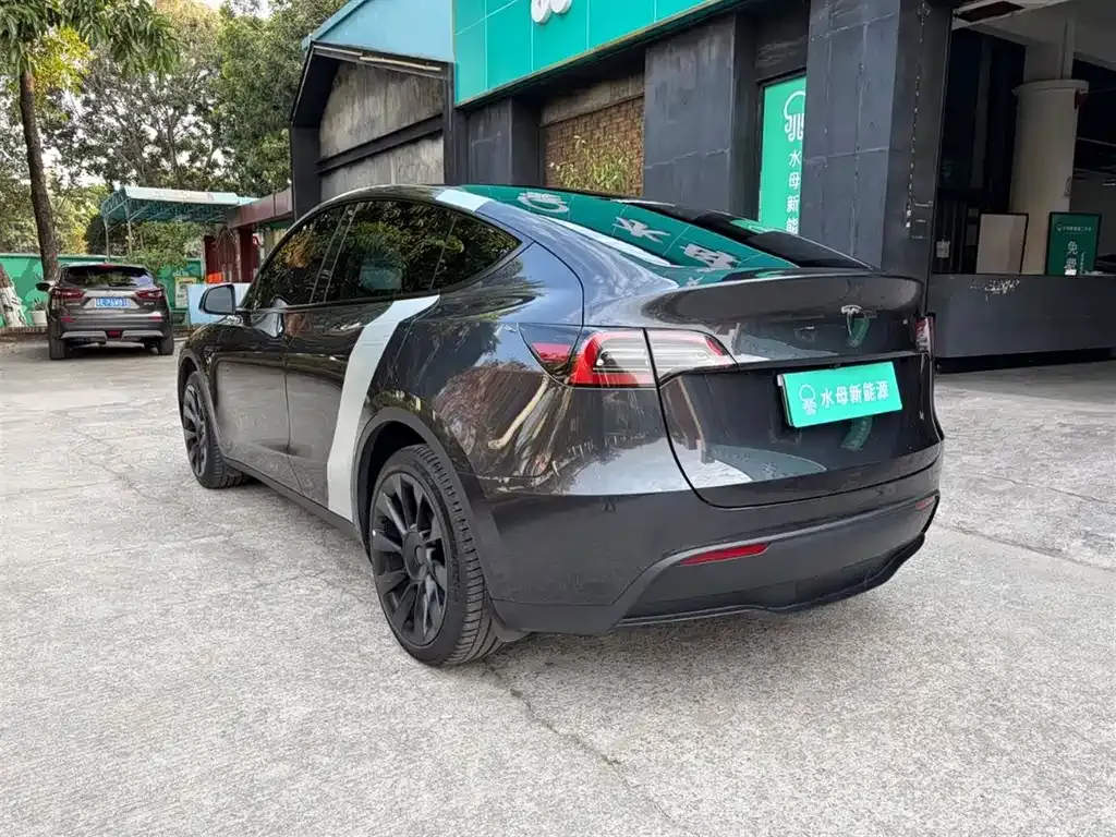 Tesla Model Y — фото 9