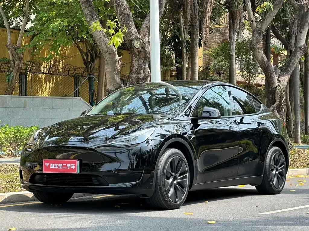 Tesla Model Y — фото 1