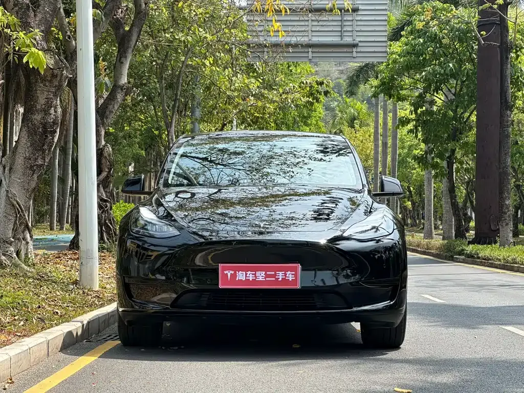 Tesla Model Y — фото 5