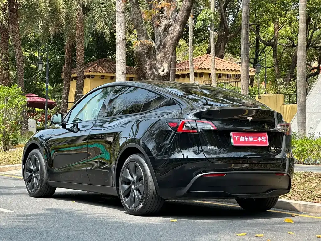 Tesla Model Y — фото 8